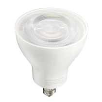 Beautiful Light Technology Corp.